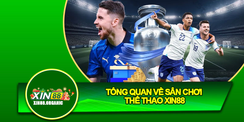 Tổng quan về sân chơi thể thao Xin88